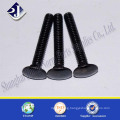 DIN603 Black Carriage Screw